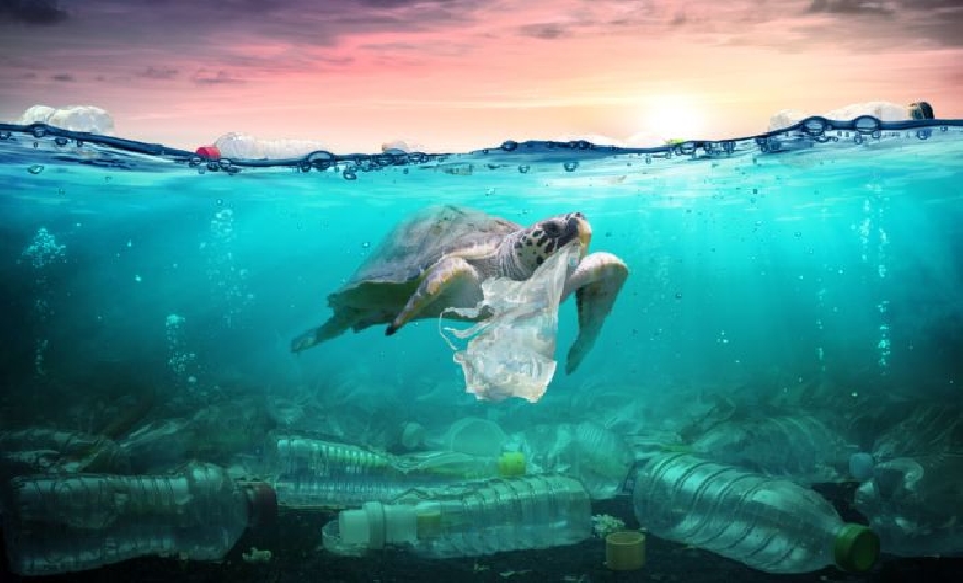 Изхвърляме 400 млн. тона пластмасови отпадъци годишно, 11 млн. тона изтичат в океаните